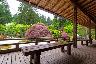 View of Japanese Garden from the Veranda