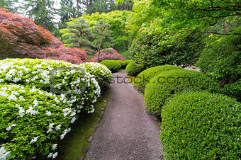 Stroling Garden Path in Japanese Garden
