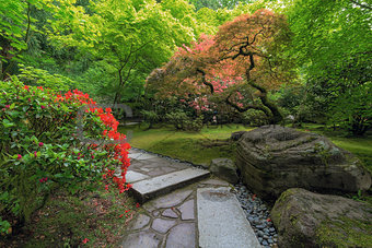 Japanese Garden Strolling Stone Path