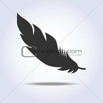 Feather icon in gray colors