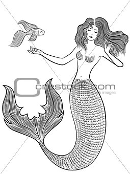 Wonder Mermaid with fish
