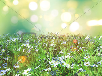3D landscape of daisies in grass