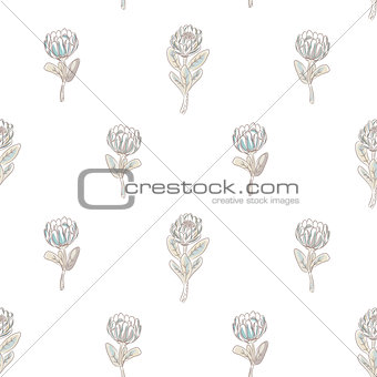 Protea flower seamless vector pattern.