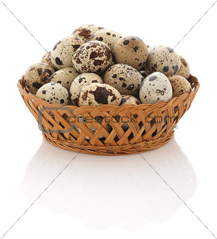 quail eggs in a wicker basket on a white background, isolate