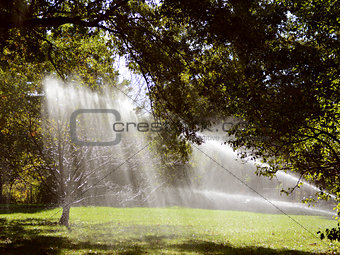 Sunlight shines through trees and water from a sprinkler