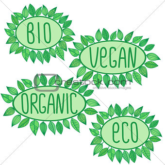 Eco, bio, organic, vegan sign in green oval badge with leaves around, vector label illustration, ecological concept stickers
