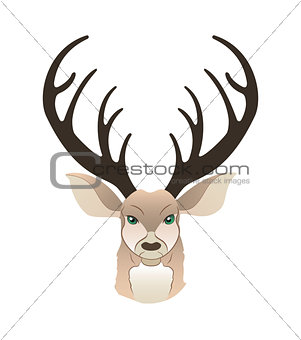 Fashion portrait of hipster deer. Reindeer dressed up in coat, furry art character, trand animals, anthropomorphism. Vector illustration for t-shirt print, card.