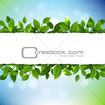 Sale Poster With Leaves And Nature Background