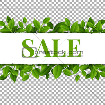Sale Poster With Leaves And Transparent Background
