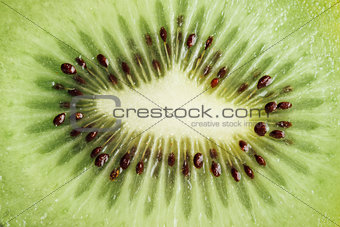 Tasty kiwi fruit close up