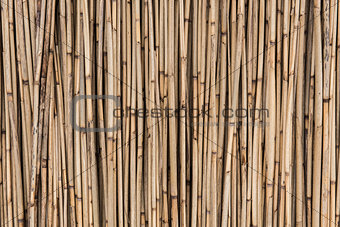 straw background, bamboo wall texture