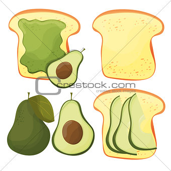 Avocado toast - vector set. Fresh toasted bread with avocado. Delicious sandwich