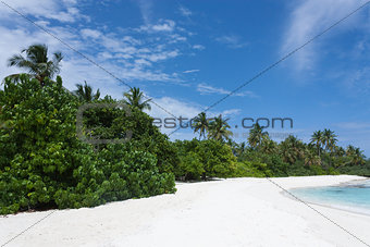 Tropical Maldives island with white sandy beach with palm trees and turquoise clear water and blue sky at sunny day