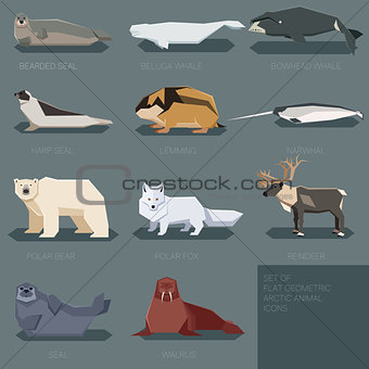 Set of flat geometric animals of Arctic
