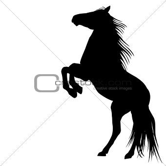 Silhouette of a bucking horse
