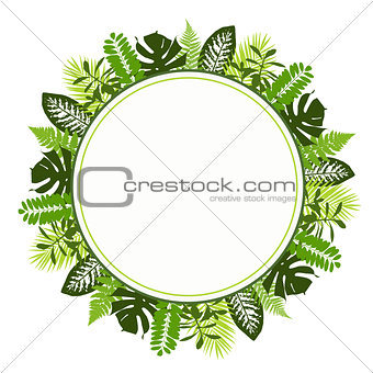 Tropical leaves background with white round banner. Palm,ferns,monsteras