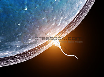Spermatozoon, floating to ovule