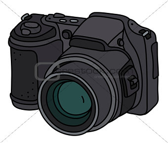 The digital photographic camera