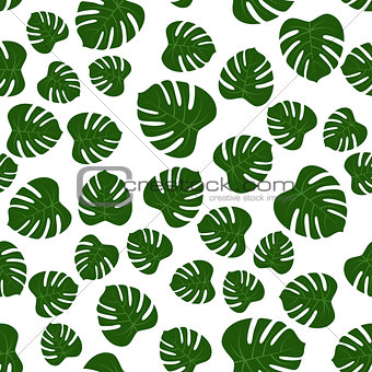 seamless of green monstera leaves
