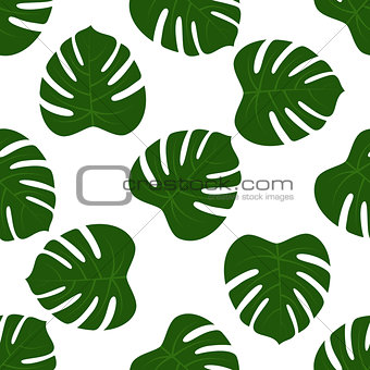 seamless of green monstera leaves