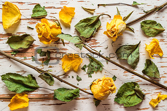 Dried yellow roses with scattered petals and leaves.The view from the top.