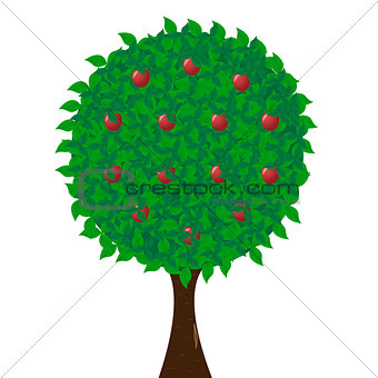 Green apple tree full of red apples isolated on white background.