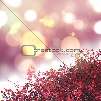 3D Maple tree on a bokeh lights background