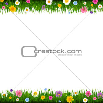 Grass And Flowers Border