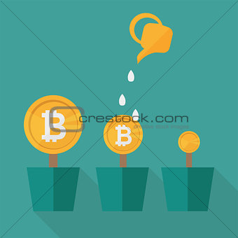 Bitcoin money flowers set with watering cans. Decorative plants in pots
