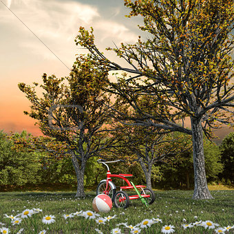 red tricycle on a green field 