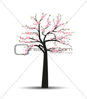 Vector tree sakura