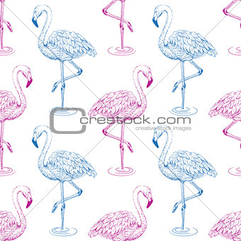 Flamingo sketch seamless pattern.