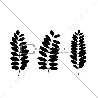 Set of black tree leaf silhouettes. Vector illustration