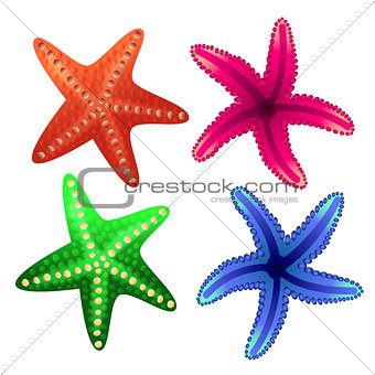 Starfish for decorating tourist posters, banners, leaflets, webs