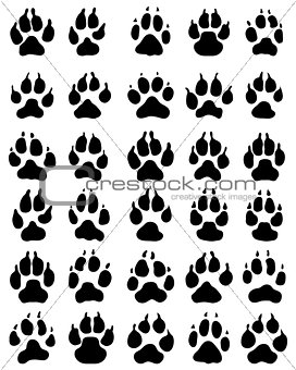 print of paw of dogs
