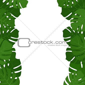 Tropical monstera leaves frame