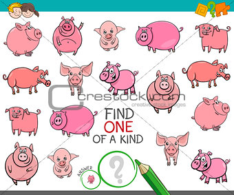 find one of a kind with funny pig characters