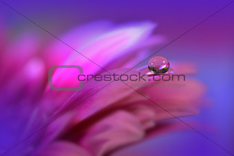 Abstract macro photo with water drops.Artistic Background for desktop. Flowers made with pastel tones.Tranquil abstract closeup art photography.