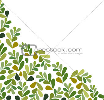 leaves set isolated on white background