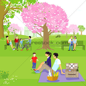 Spring with families at the cherry blossom