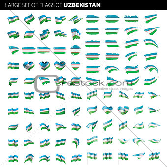 Uzbekistan flag, vector illustration