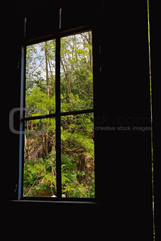 Window frame and nature