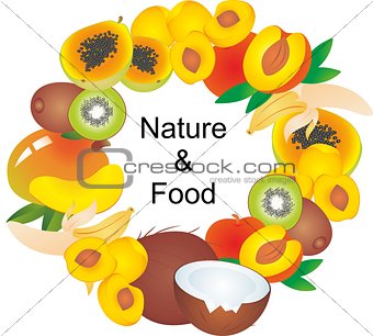 Set of cartoon food illustrations on white background. Exotic fruits.