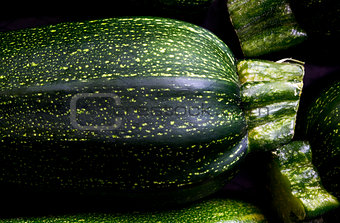 Detail of zucchini (zucchetti, courgettes)