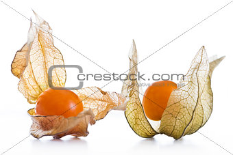 Physalis, fruits with papery husk