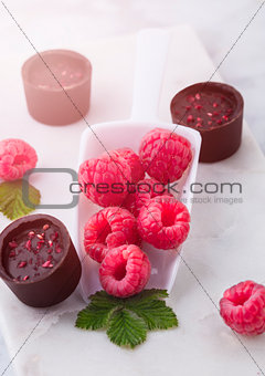 Scoop with fresh raspberries and luxury chocolate