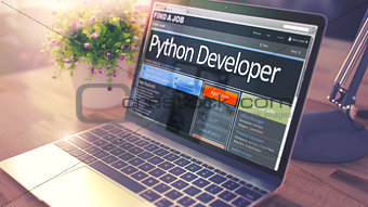 Python Developer Hiring Now. 3D.