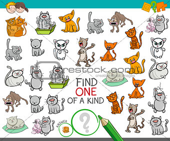find one of a kind game with cat characters
