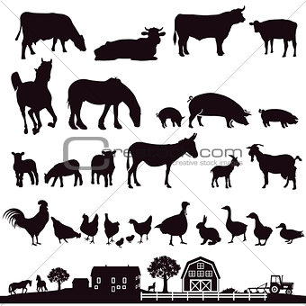 Farm animals and farm, illustration