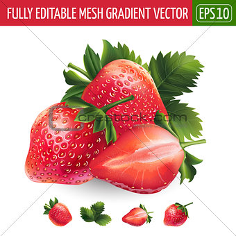 Strawberry on white background. Vector illustration